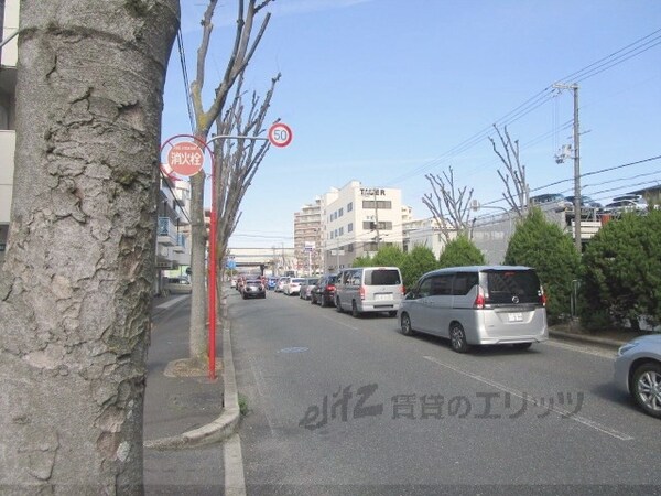 その他(前面道路)