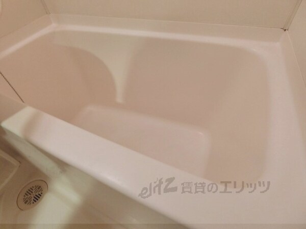 バス／シャワールーム等(風呂)