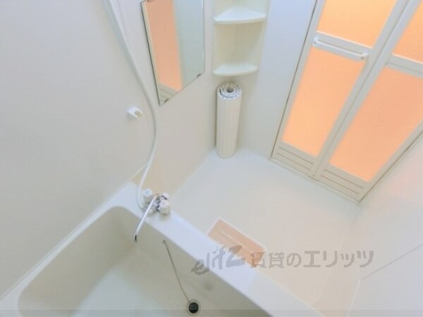 バス／シャワールーム等(風呂)