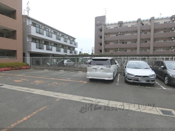 駐車場(駐車場)