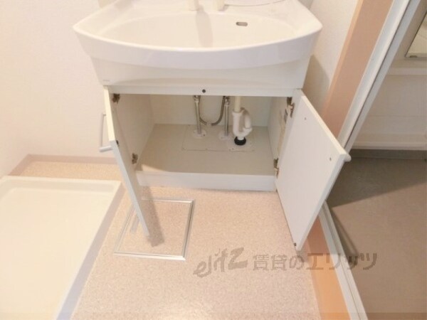 洗面(収納下部)