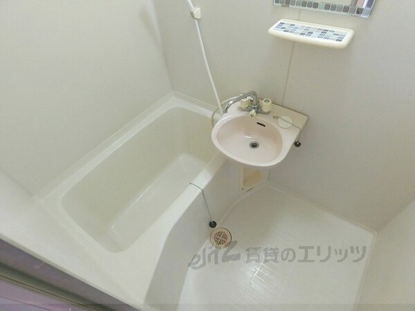 バス／シャワールーム等(風呂)