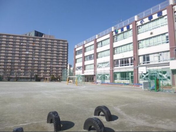 その他(江東区立東雲小学校[900m])