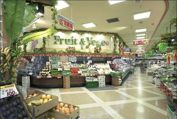 その他(文化堂豊洲店[1500m])