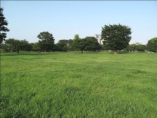 物件内観写真16　(木場公園[1000m])