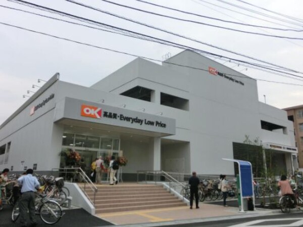 その他(オーケー尾高橋店[700m])