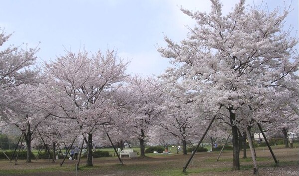 その他(木場公園[1300m])
