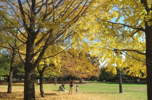 その他(清澄公園[550m])