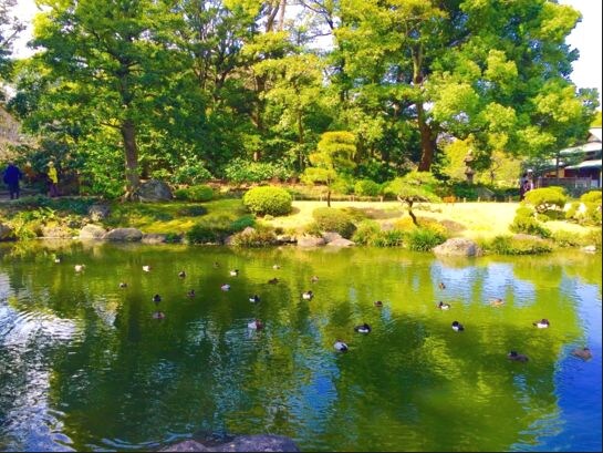 物件内観写真24　(清澄庭園[400m])