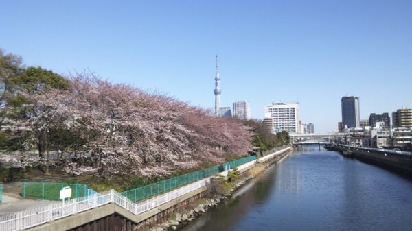 その他(猿江恩賜公園[1000m])