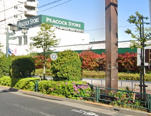 その他(ピーコックストア大島店[60m])