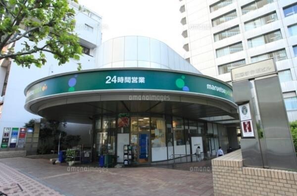 その他(マルエツ[250m])