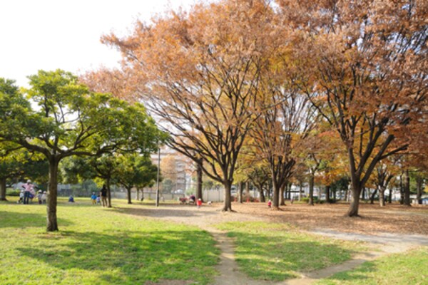 その他(青山公園[680m])