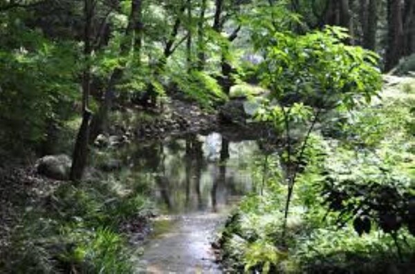 その他(有栖川宮記念公園[1100m])