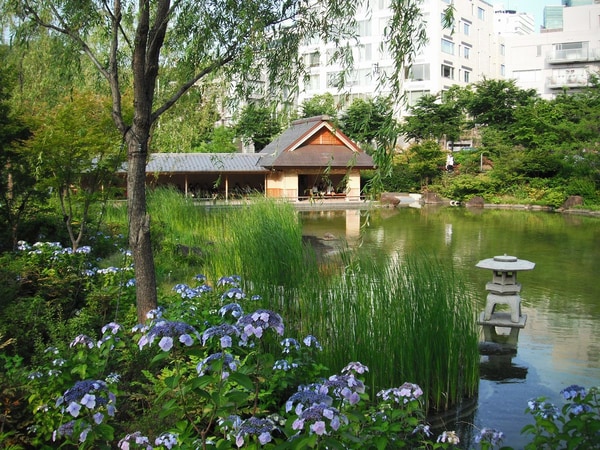 その他(檜町公園[800m])