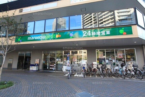 その他(マルエツプチ 鮫洲駅東口店[900m])