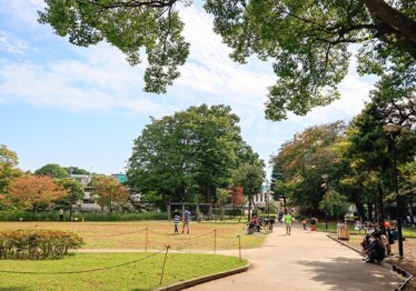その他(平塚中央公園[320m])