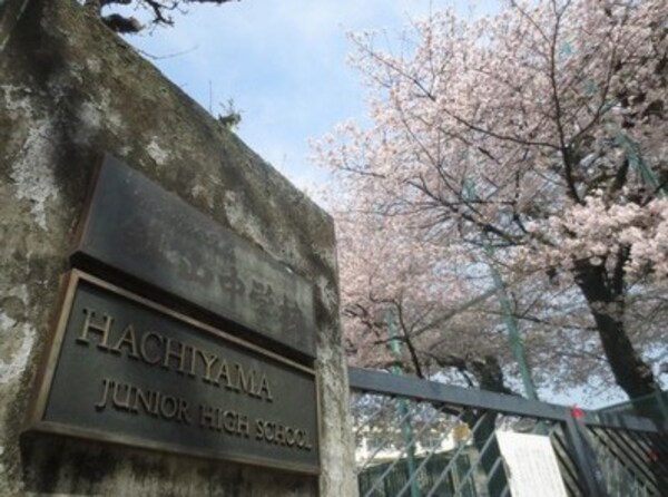 その他(区立鉢山中学校[850m])