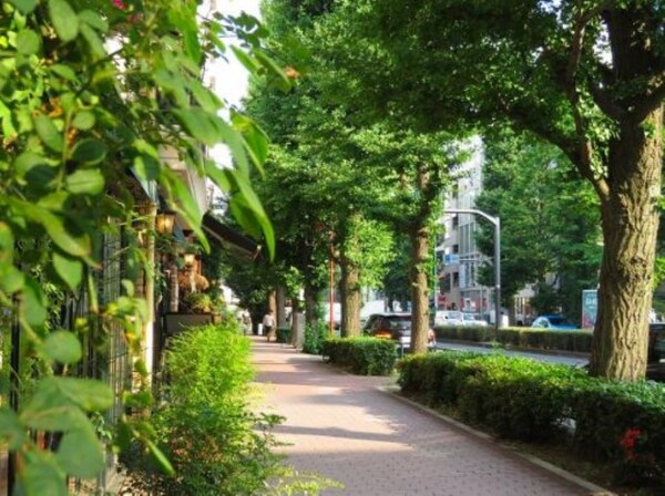 その他(駅周辺[600m])