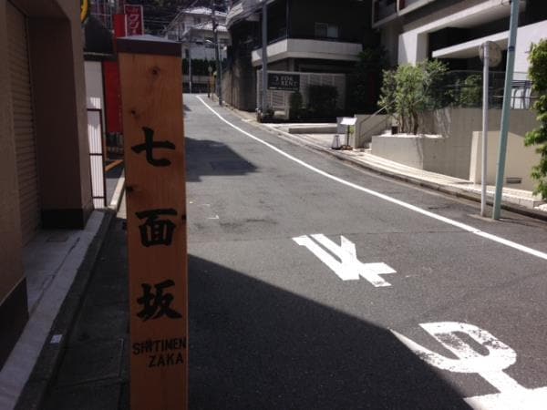 その他(七面坂[０m](マンション前の通リが由緒ある七面坂))
