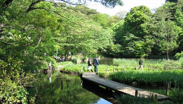 その他(国立科学博物館付属　自然教育園[1900m])