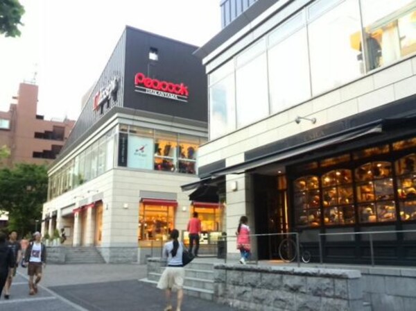 その他(ピーコック ストア代官山店[290m])