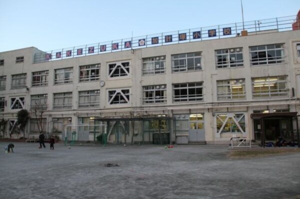 その他(渋谷区立加計塚小学校[181m])