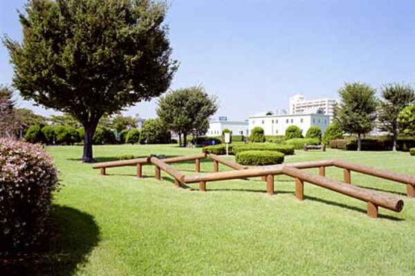 その他([1500m])