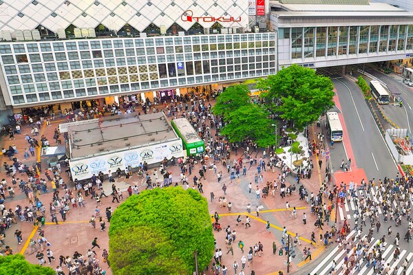 その他(渋谷駅[560m])