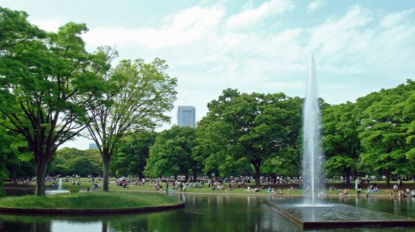 その他(代々木公園[1300m])