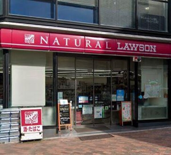 その他(ナチュラルローソン広尾5丁目店[78m])