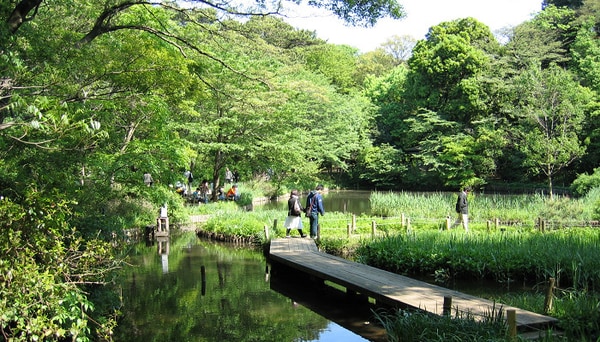 その他(国立科学博物館付属[1600m])
