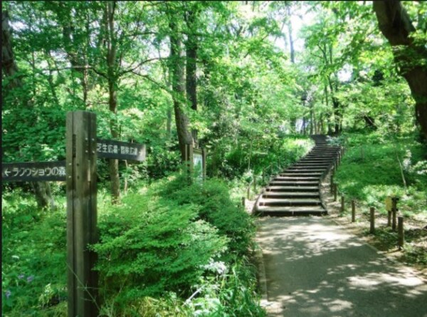 その他([1000m](林試の森公園))