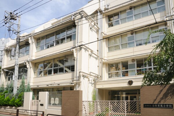 その他(台東区立台東育英小学校[350m])