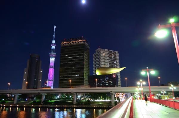 その他(浅草[1000m])