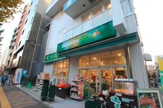 物件内観写真29　(マルエツプチ花川戸二丁目店[280m])