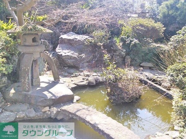 庭