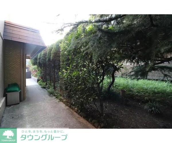 庭