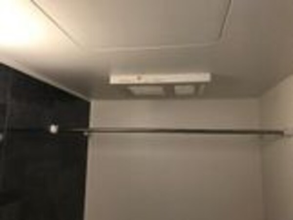 その他(反転参考写真)