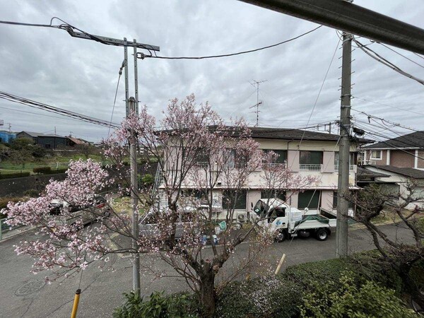 眺望