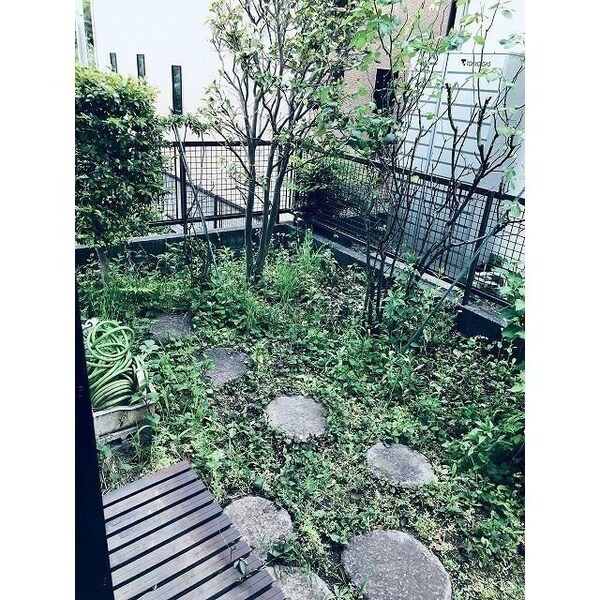 庭