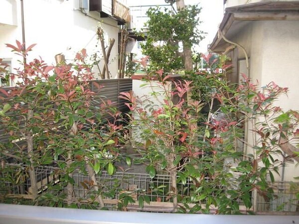 眺望(★お問い合わせはタウンハウジング祖師ヶ谷大蔵店まで★)