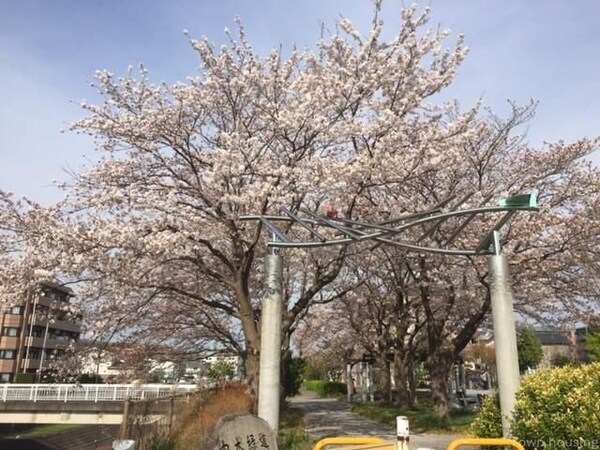 その他(★お部屋探しはタウンハウジング高幡不動店まで★)