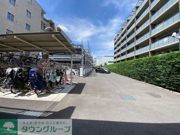 庭