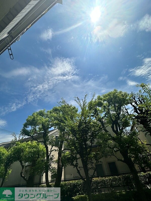 眺望