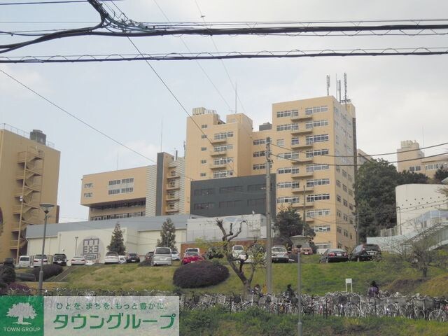 帝京大学
