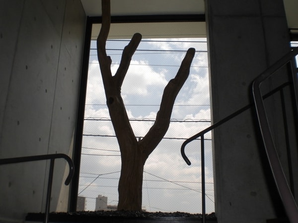 庭(☆さすがデザイナーズ♪☆)