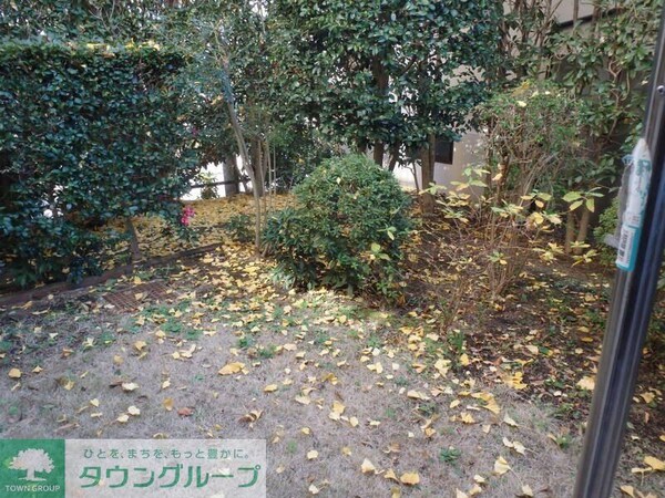 庭