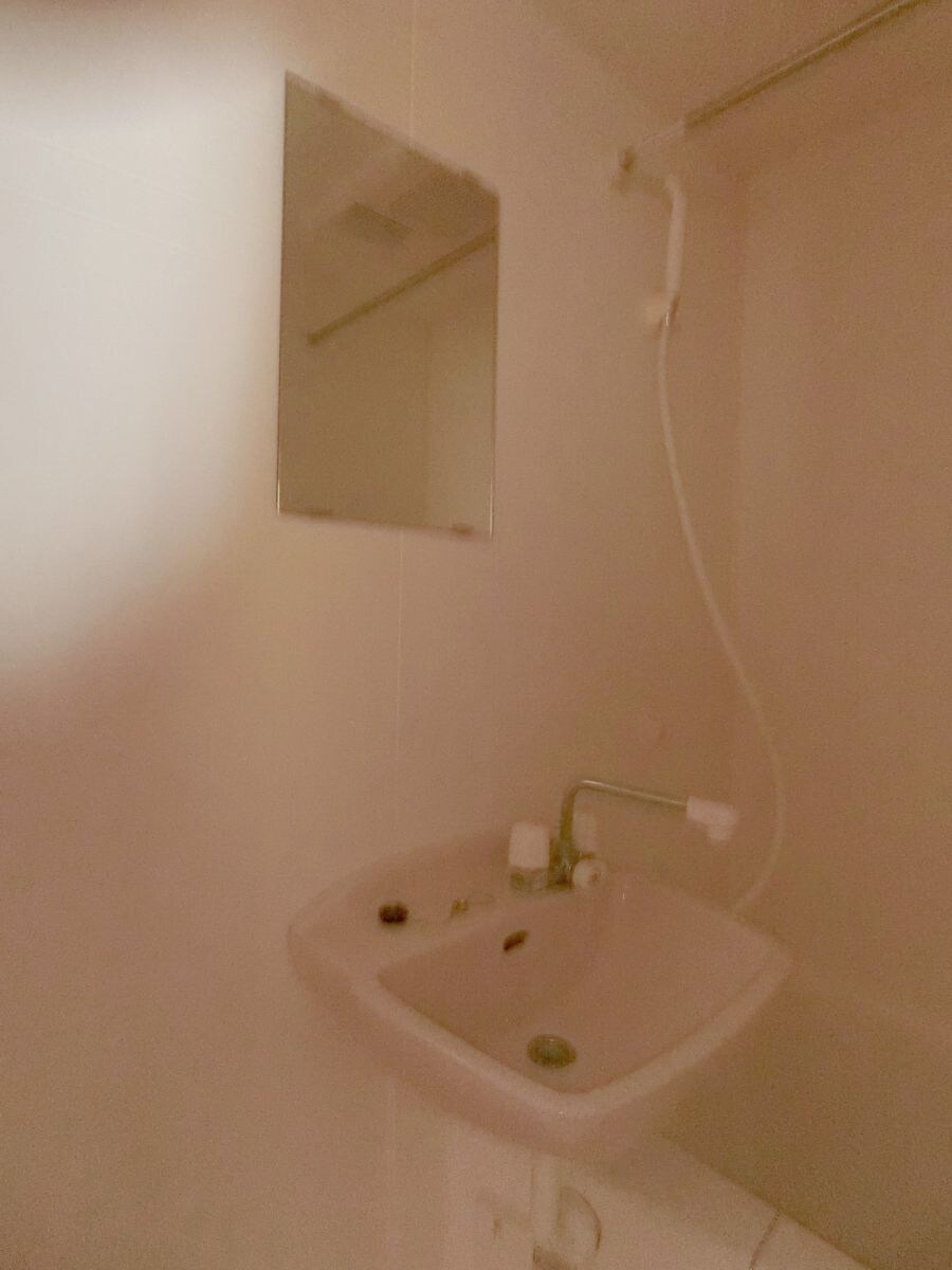 物件内観写真10　(洗面)