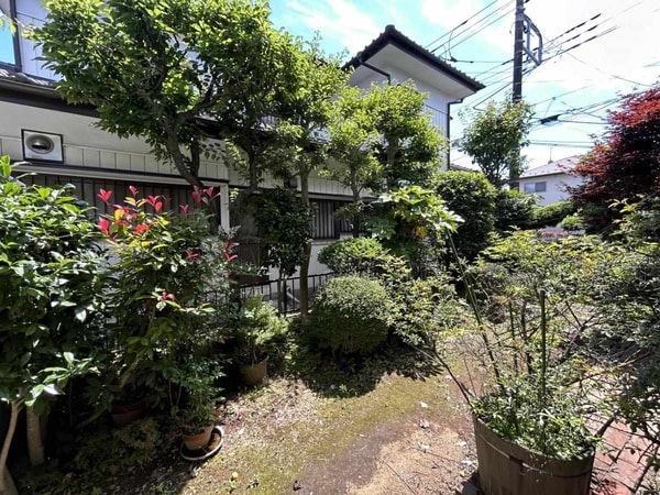 庭